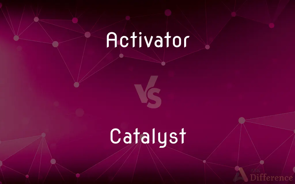 Activator vs. Catalyst — What's the Difference?