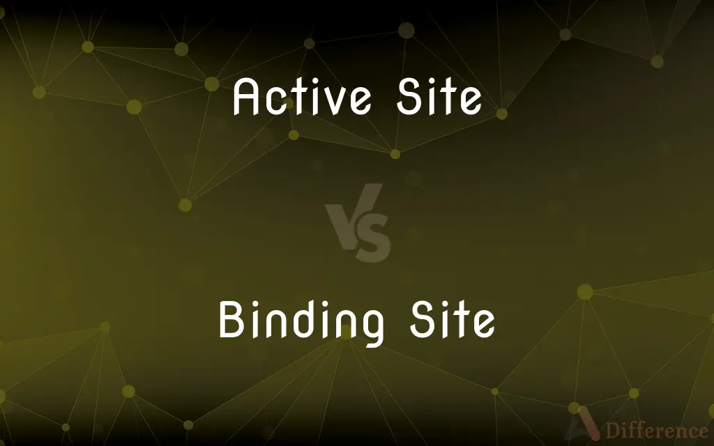 Active Site vs. Binding Site — What's the Difference?
