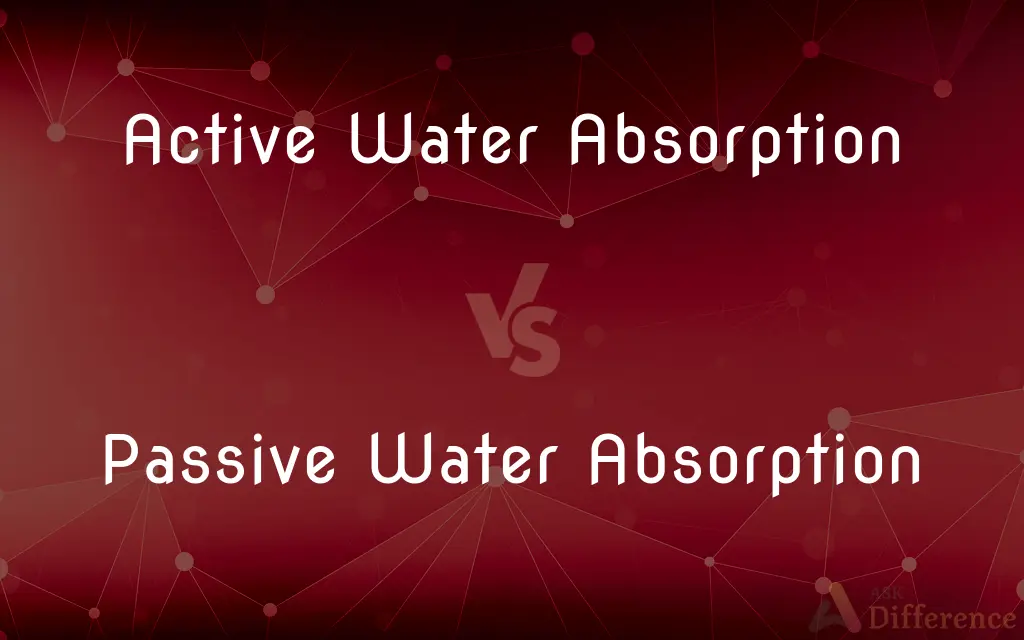 Active Water Absorption vs. Passive Water Absorption — What's the Difference?