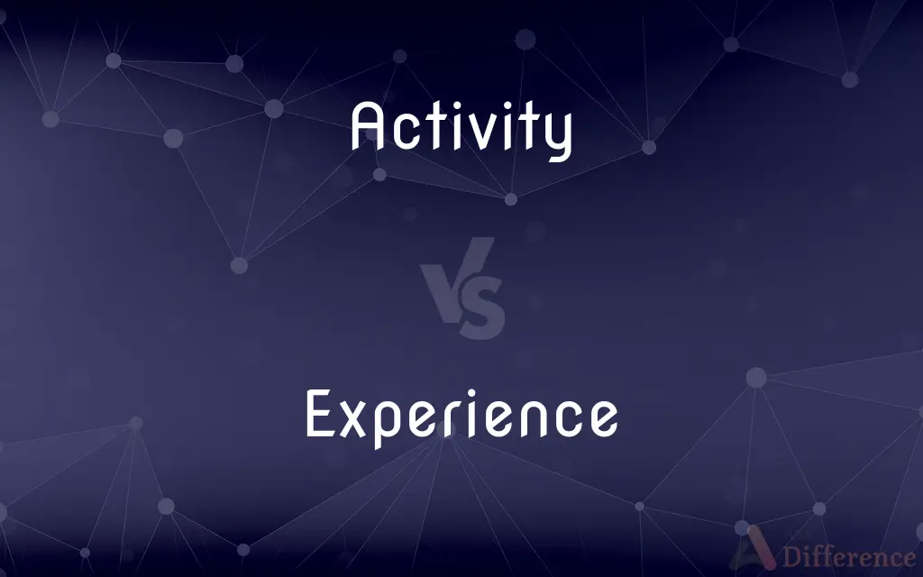 Activity vs. Experience — What's the Difference?