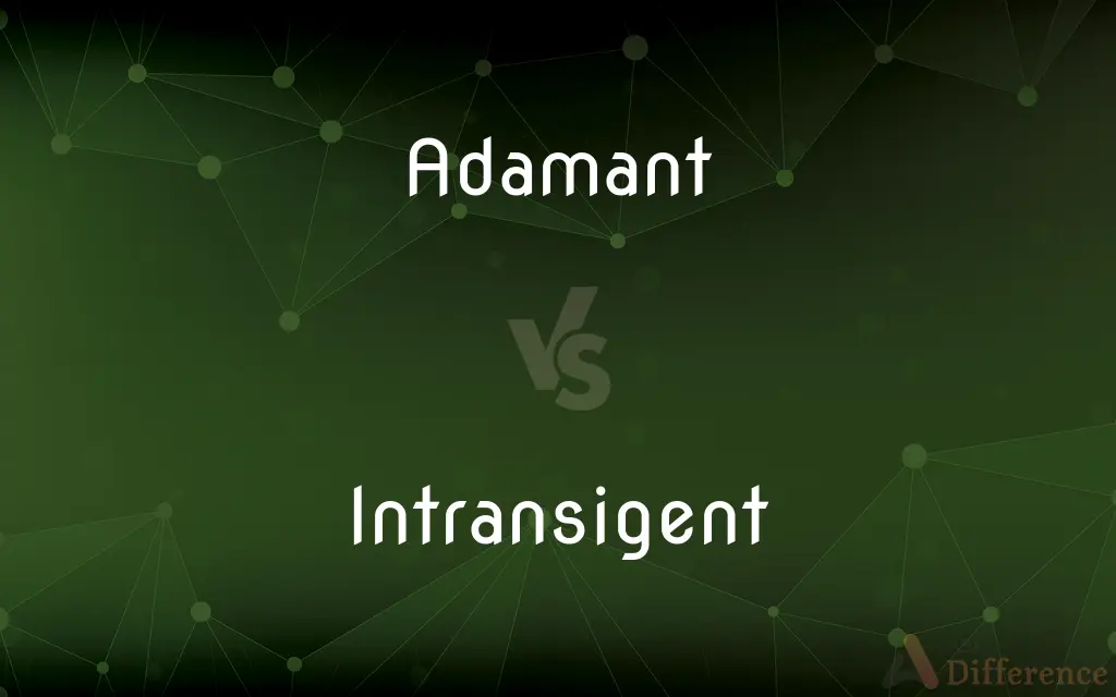 Adamant vs. Intransigent — What's the Difference?