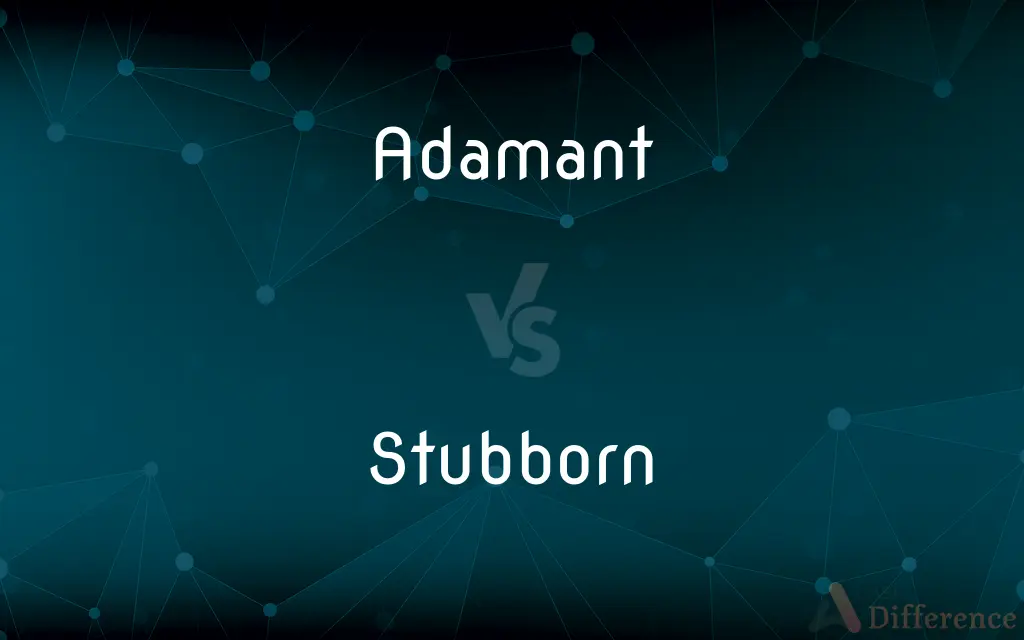 Adamant vs. Stubborn — What's the Difference?