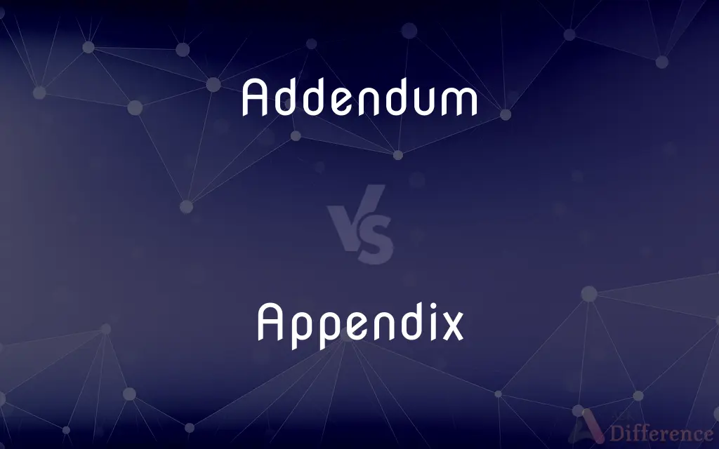 Addendum vs. Appendix — What's the Difference?