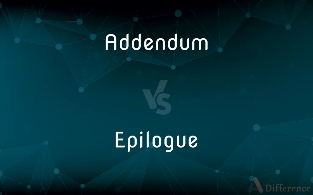 Addendum vs. Epilogue — What's the Difference?