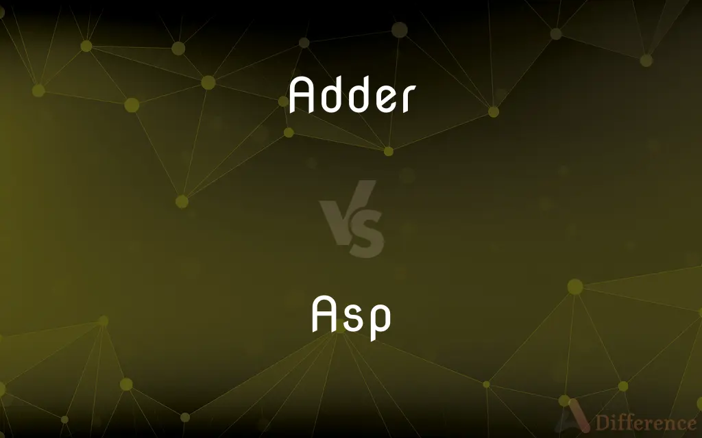 Adder vs. Asp — What's the Difference?