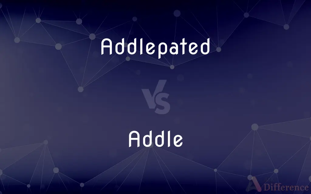 Addlepated vs. Addle — What's the Difference?