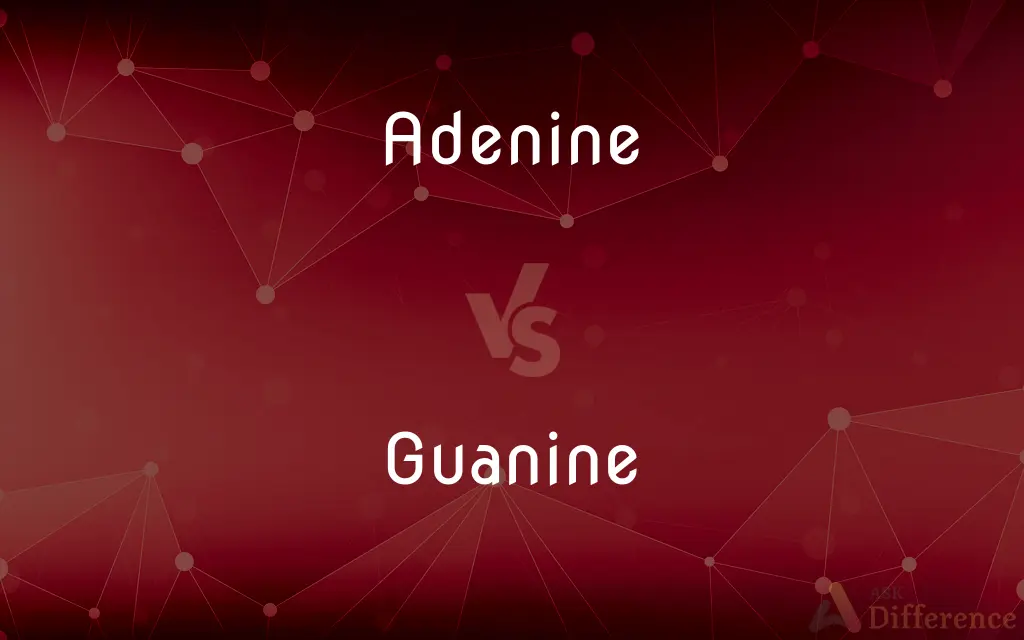 Adenine vs. Guanine — What's the Difference?