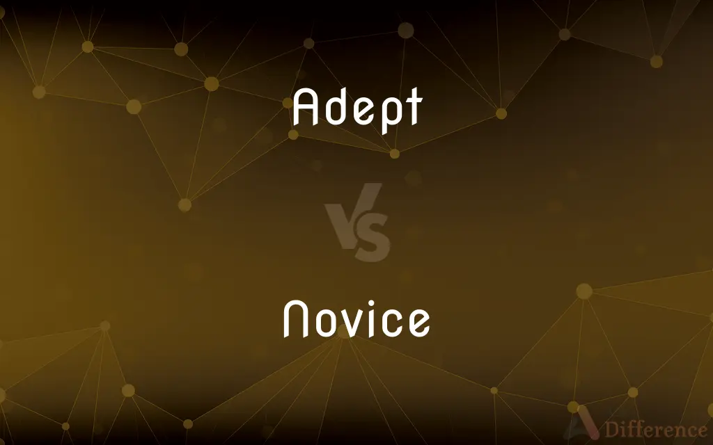 Adept vs. Novice — What's the Difference?