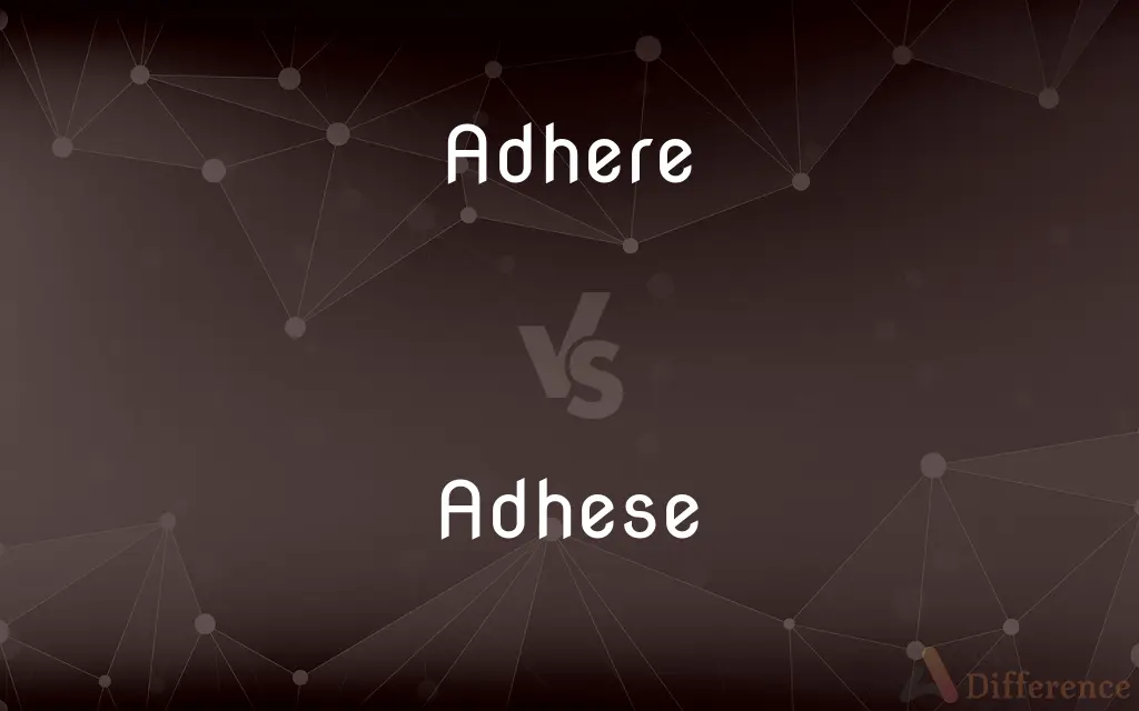 Adhere vs. Adhese — What's the Difference?