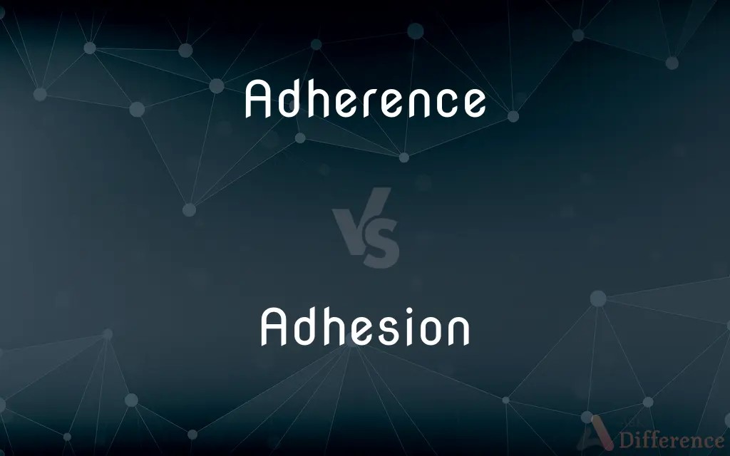 Adherence vs. Adhesion — What's the Difference?