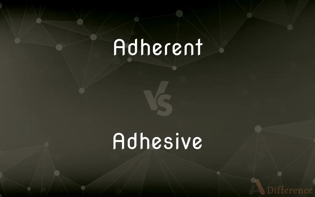 Adherent vs. Adhesive — What's the Difference?