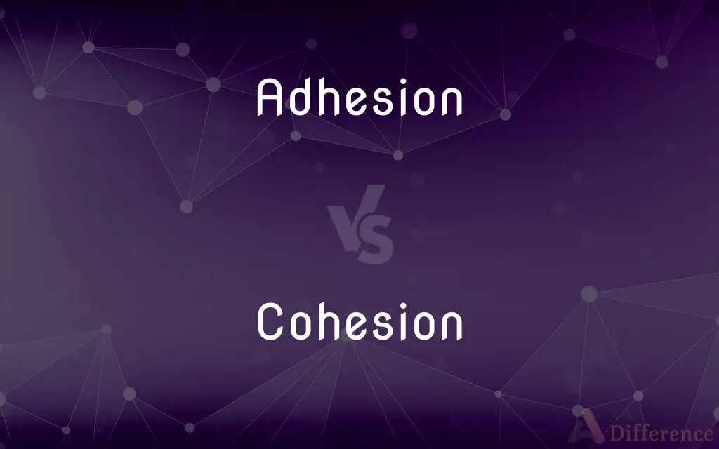 Adhesion vs. Cohesion — What's the Difference?