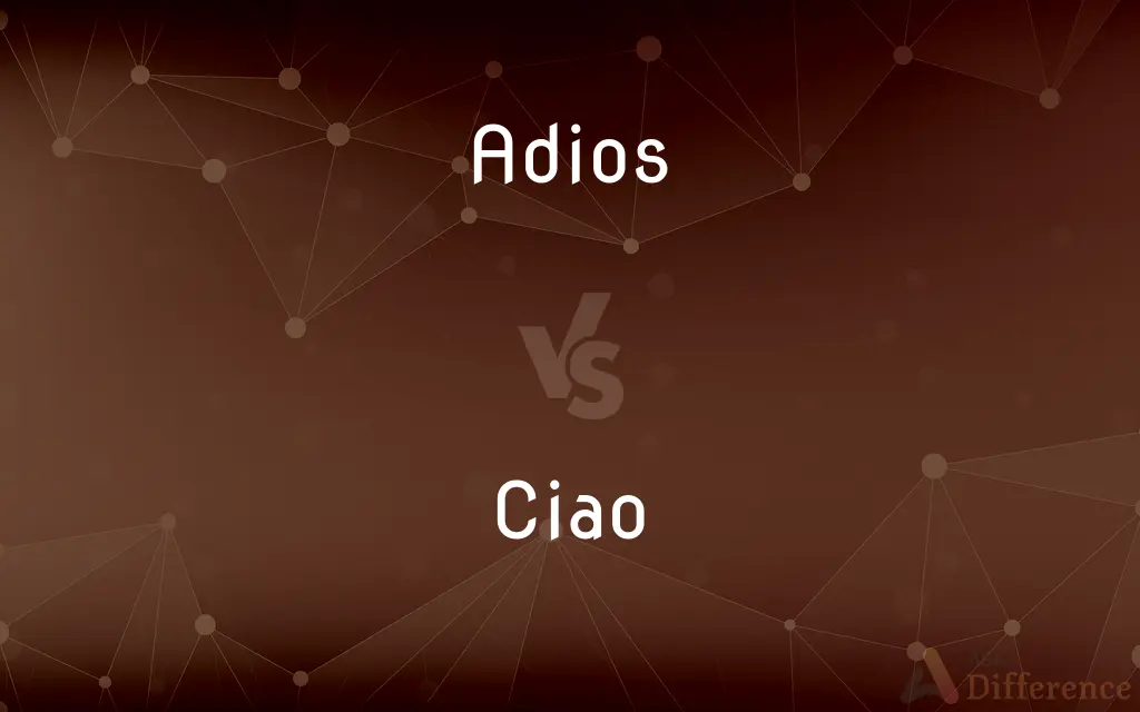 Adios vs. Ciao — What's the Difference?