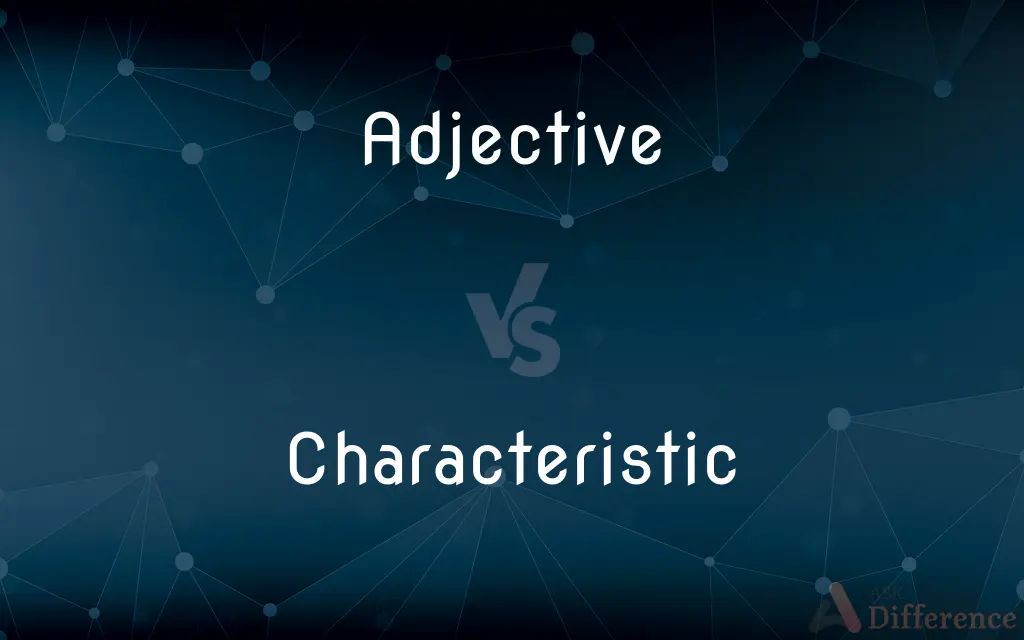 Adjective vs. Characteristic — What's the Difference?