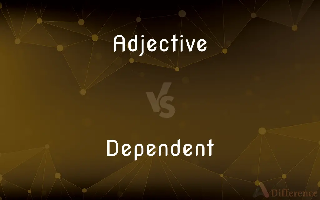 Adjective vs. Dependent — What's the Difference?