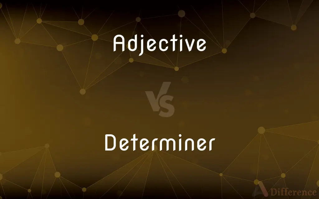 Adjective vs. Determiner — What's the Difference?