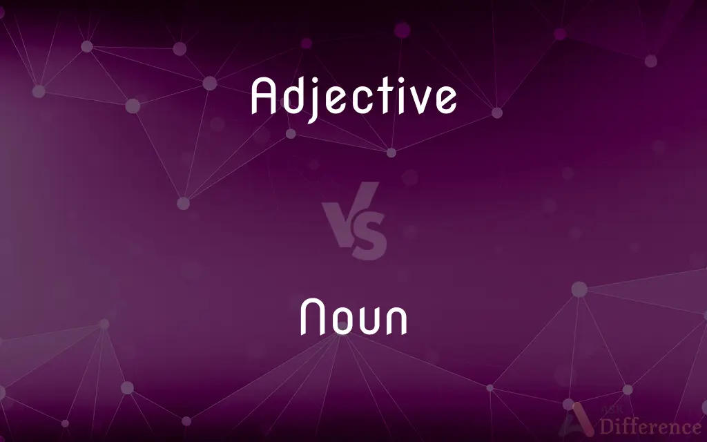 Adjective vs. Noun — What's the Difference?