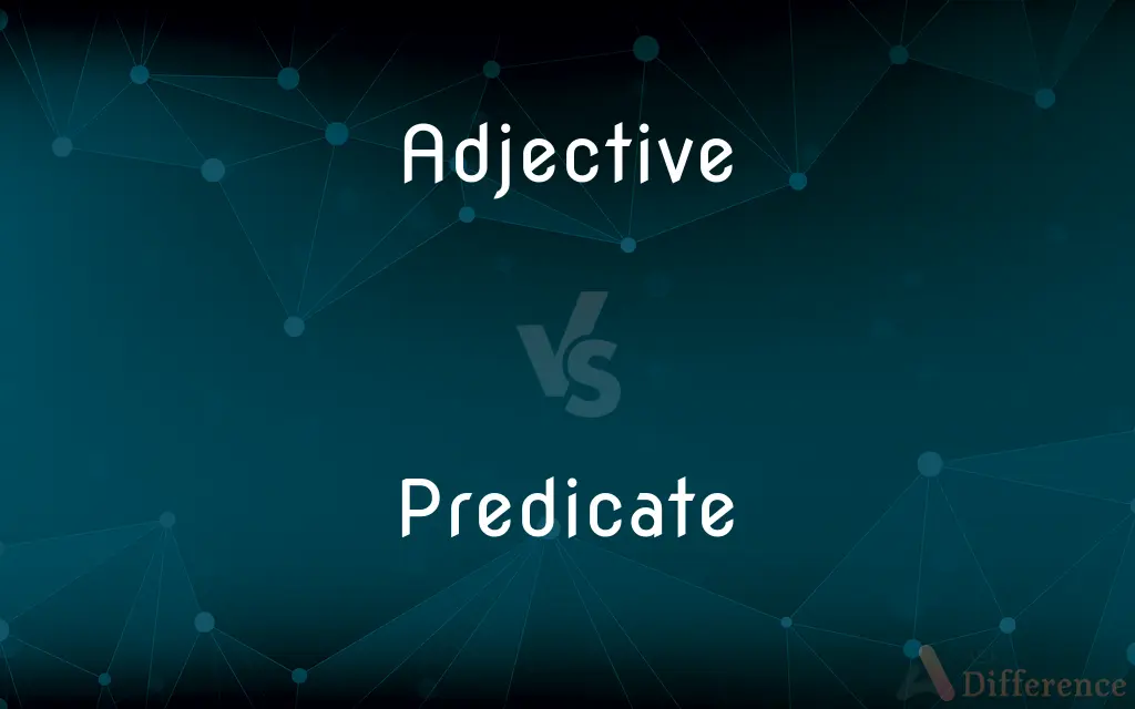 Adjective vs. Predicate — What's the Difference?