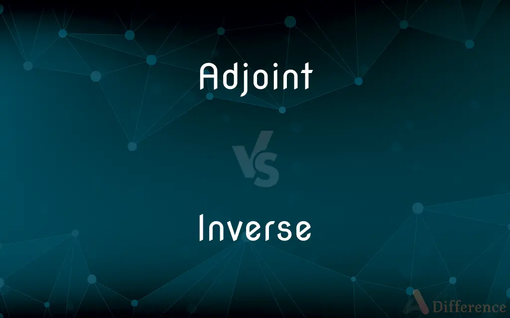 Adjoint vs. Inverse — What's the Difference?