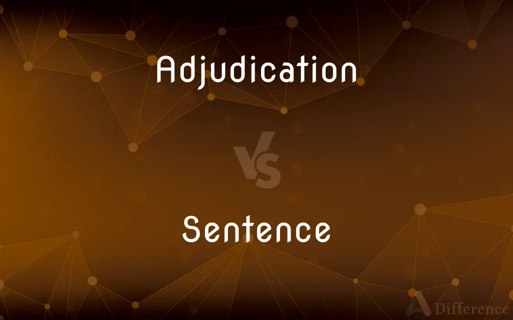 Adjudication vs. Sentence — What's the Difference?