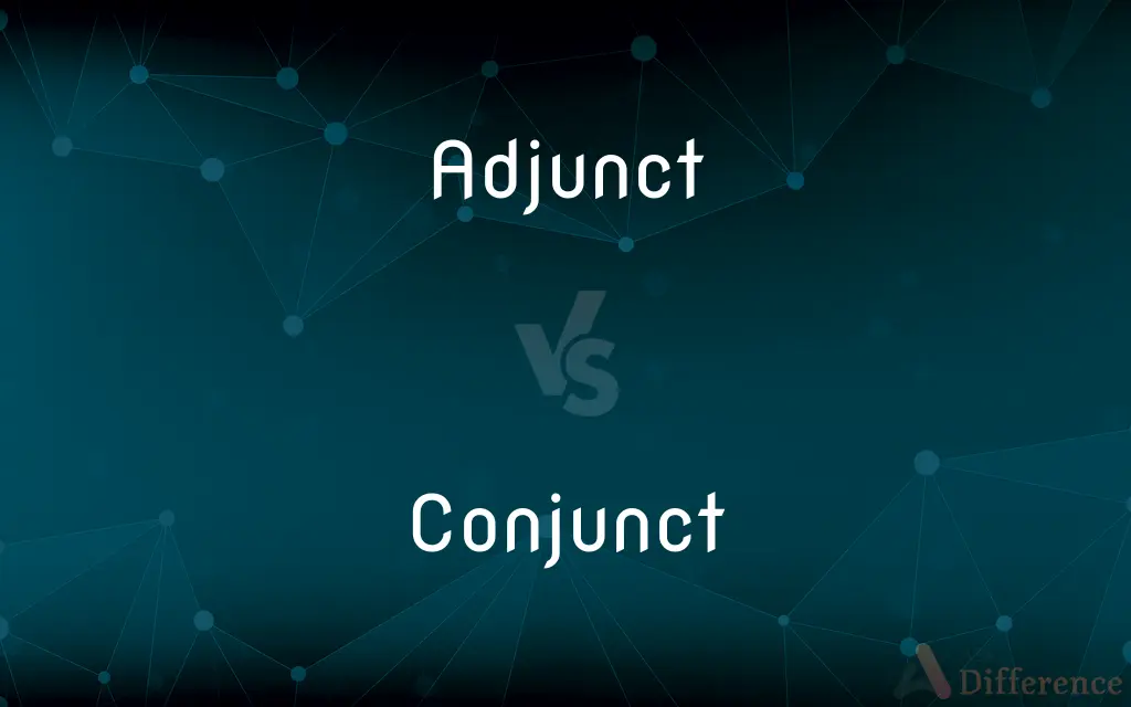 Adjunct vs. Conjunct — What's the Difference?