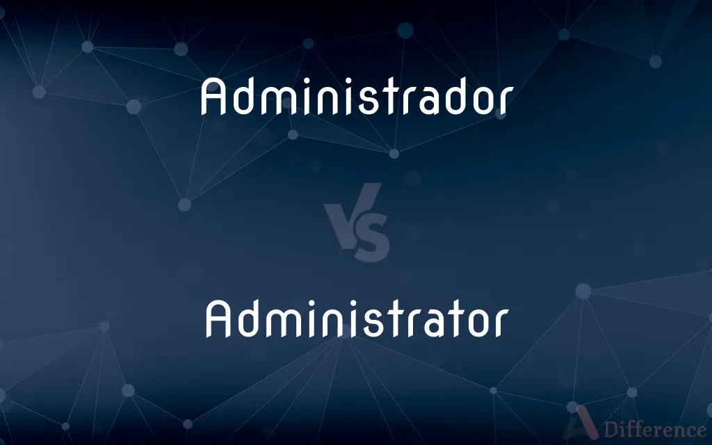 Administrador vs. Administrator — What's the Difference?
