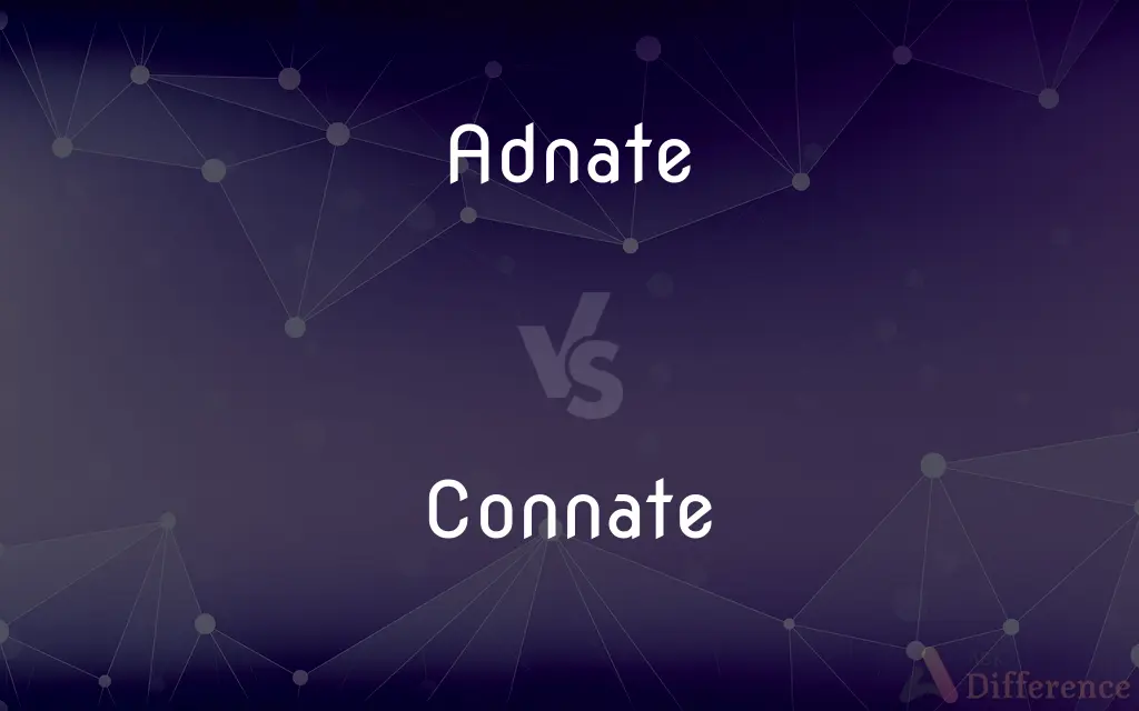 Adnate vs. Connate — What's the Difference?
