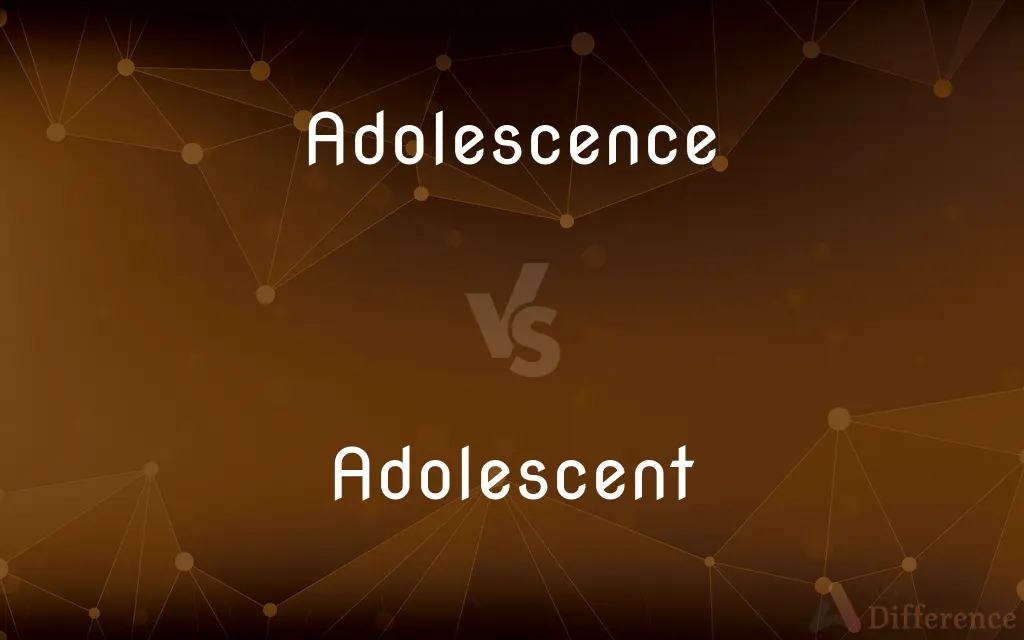 Adolescence vs. Adolescent — What's the Difference?