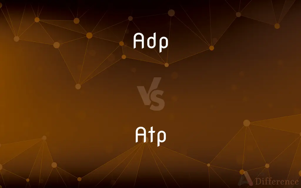 ADP vs. ATP — What's the Difference?