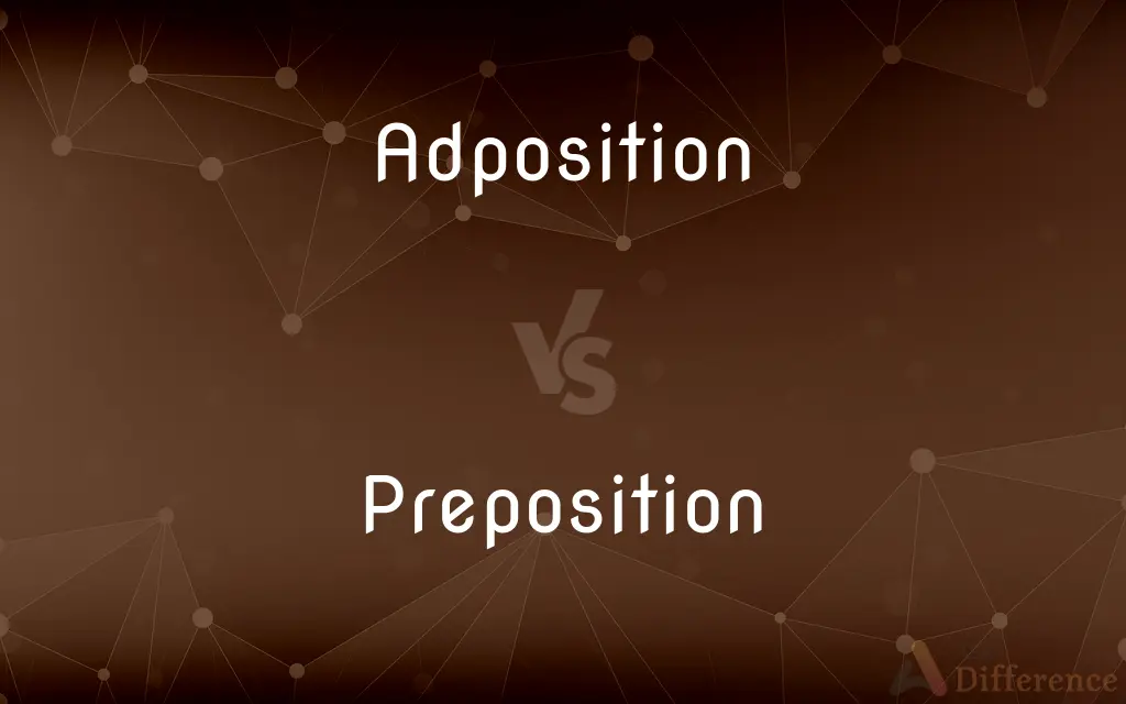 Adposition vs. Preposition — What's the Difference?