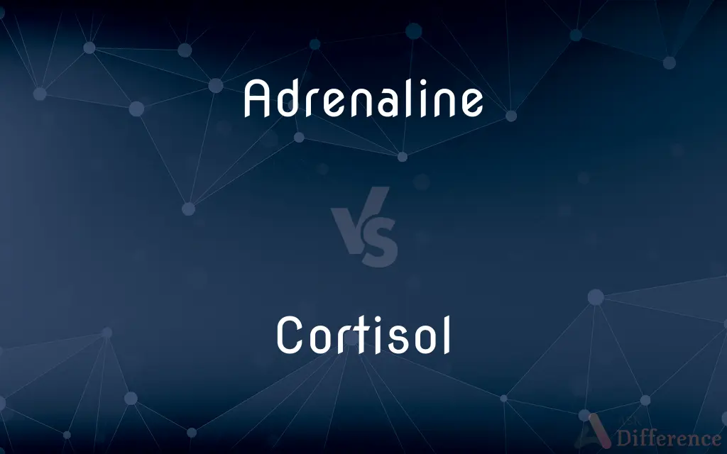 Adrenaline vs. Cortisol — What's the Difference?