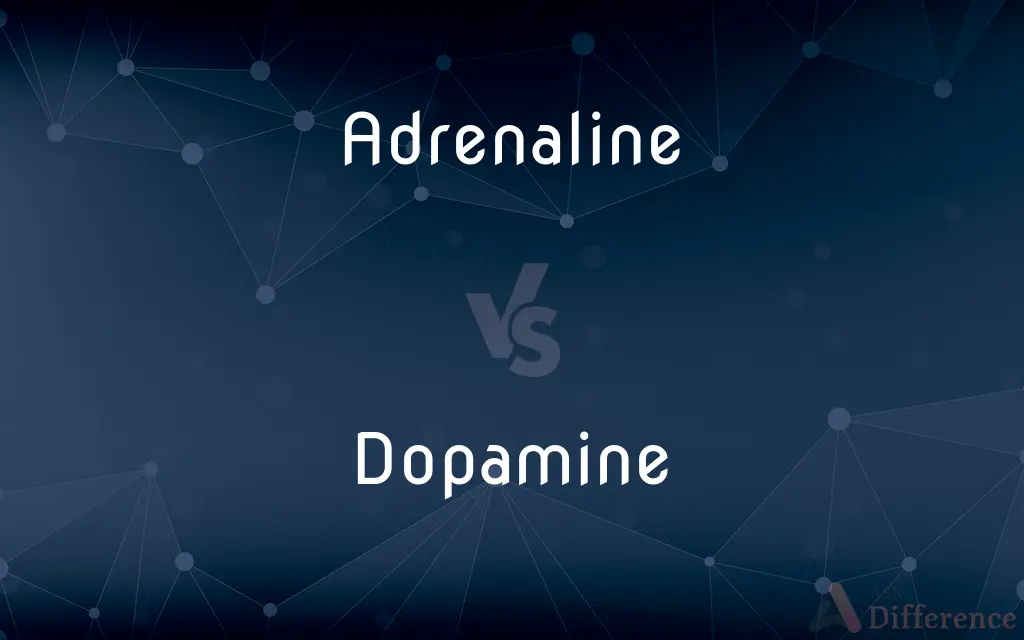 Adrenaline vs. Dopamine — What's the Difference?