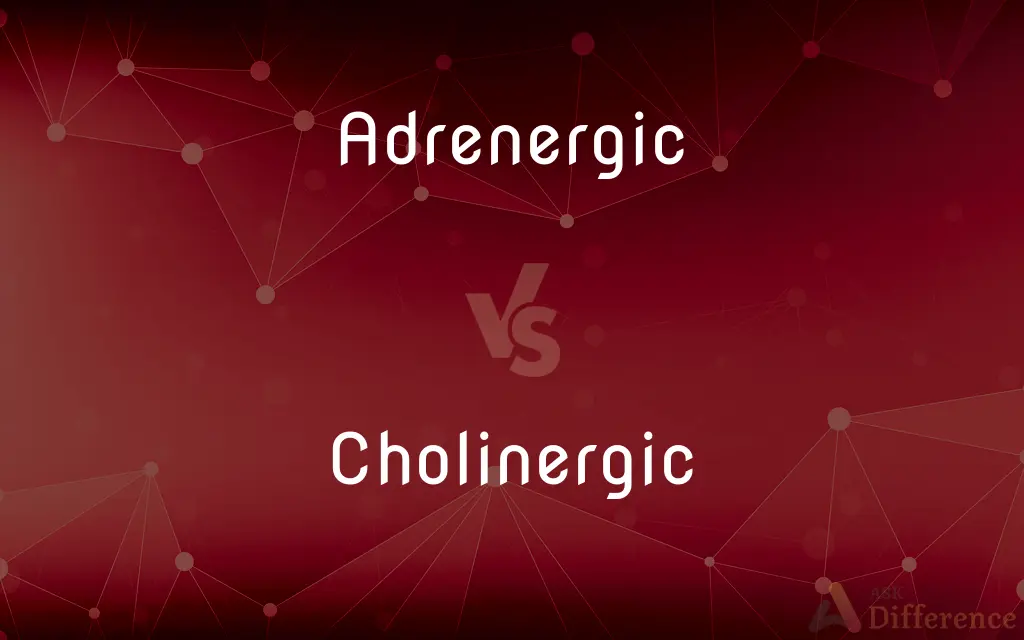 Adrenergic vs. Cholinergic — What's the Difference?
