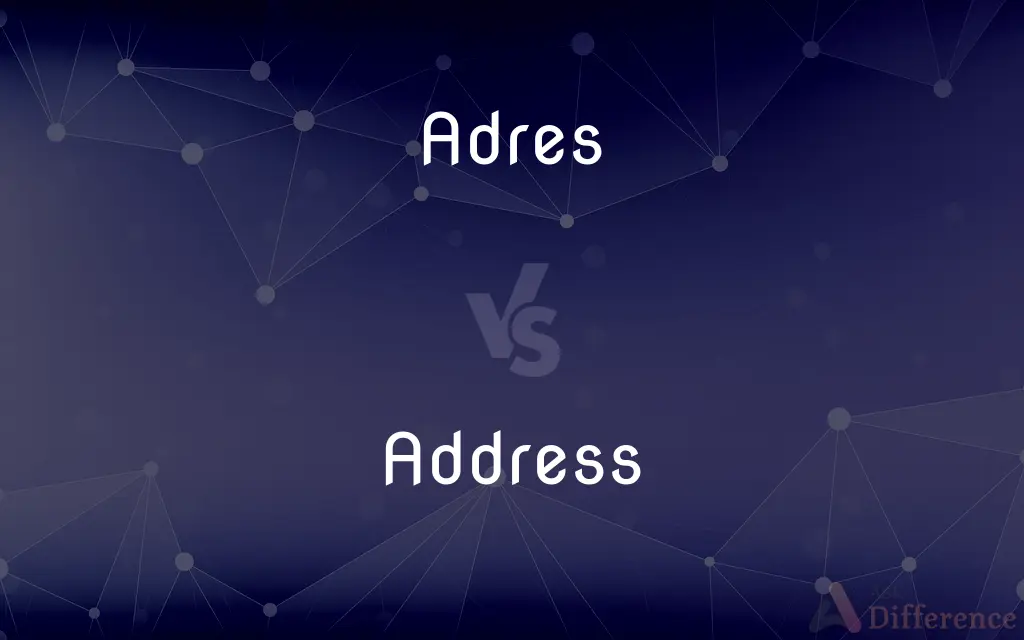 Adres vs. Address — Which is Correct Spelling?