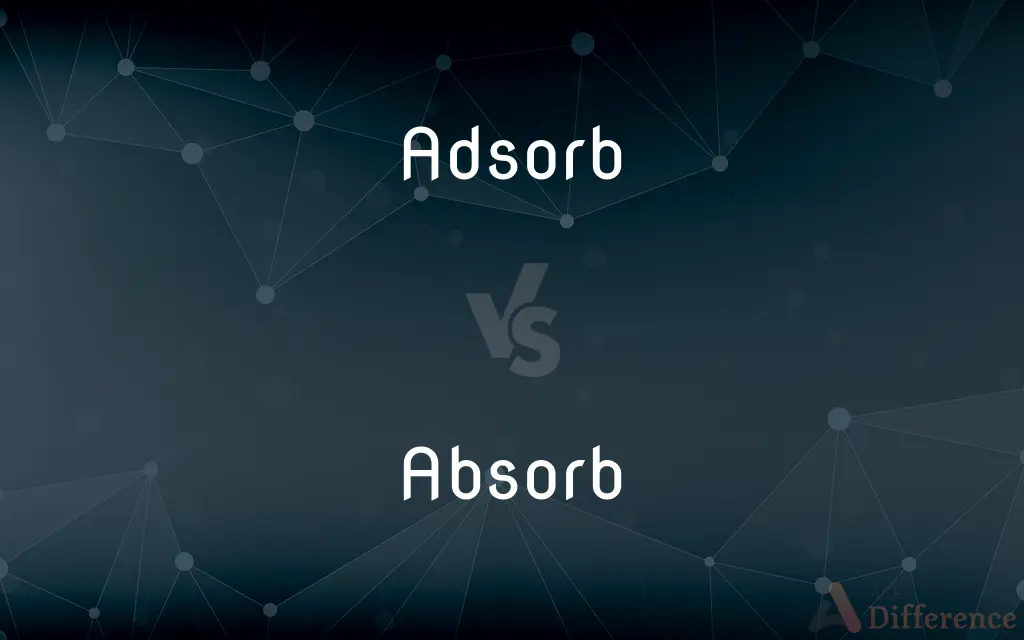 Adsorb vs. Absorb — What's the Difference?