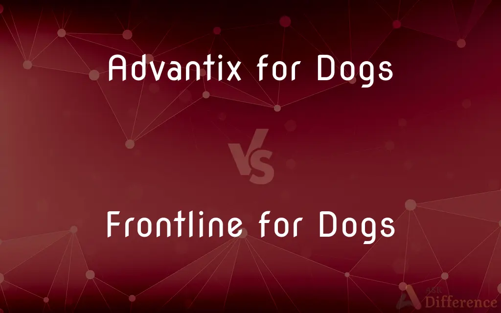 Advantix for Dogs vs. Frontline for Dogs — What's the Difference?