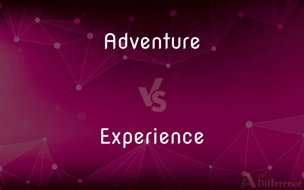 Adventure vs. Experience — What's the Difference?