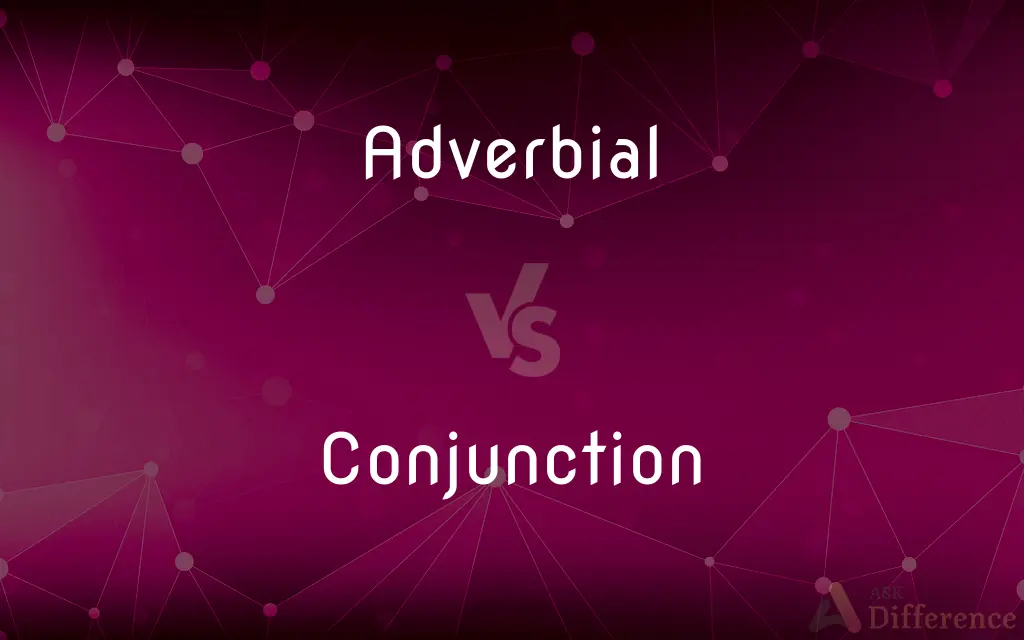 Adverbial vs. Conjunction — What's the Difference?