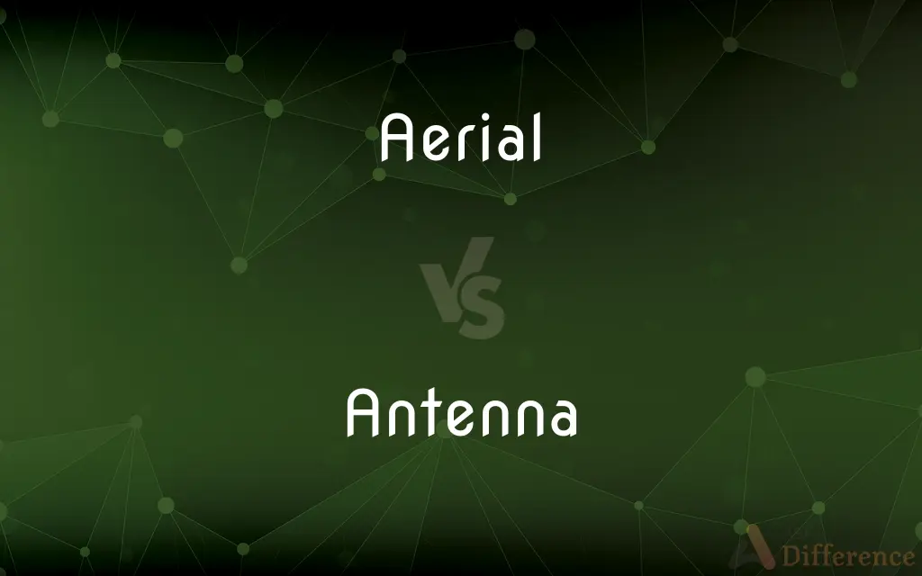 Aerial vs. Antenna — What's the Difference?