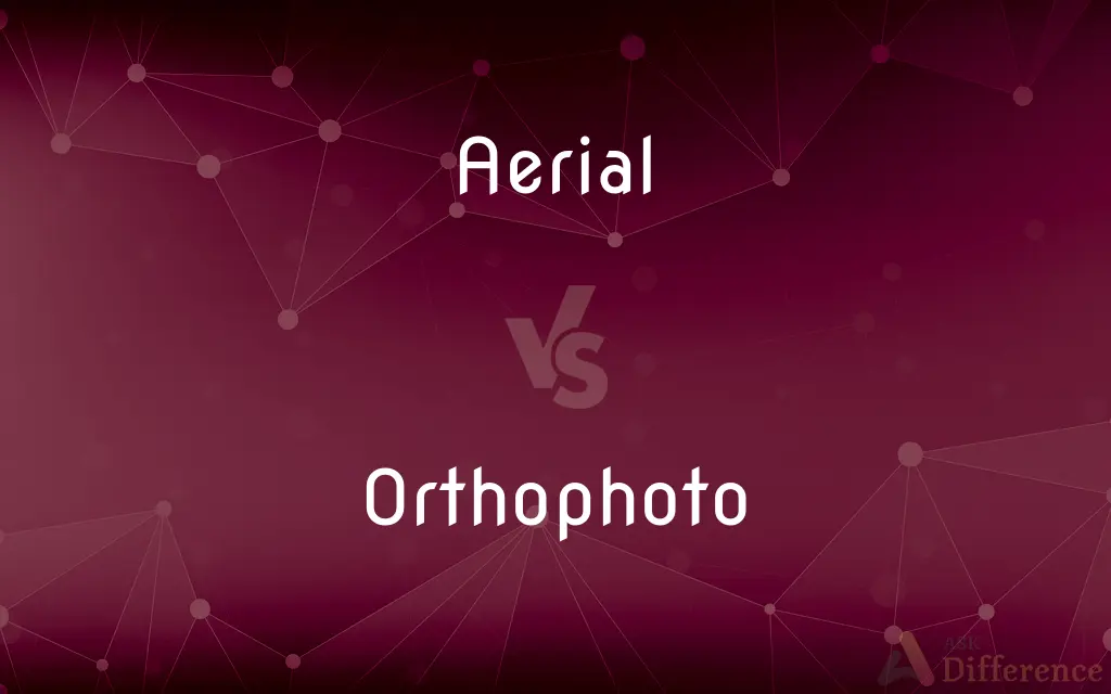 Aerial vs. Orthophoto — What's the Difference?