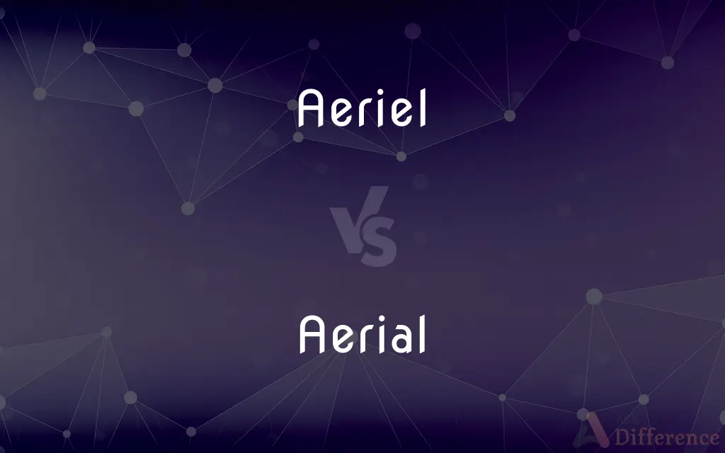 Aeriel vs. Aerial — Which is Correct Spelling?
