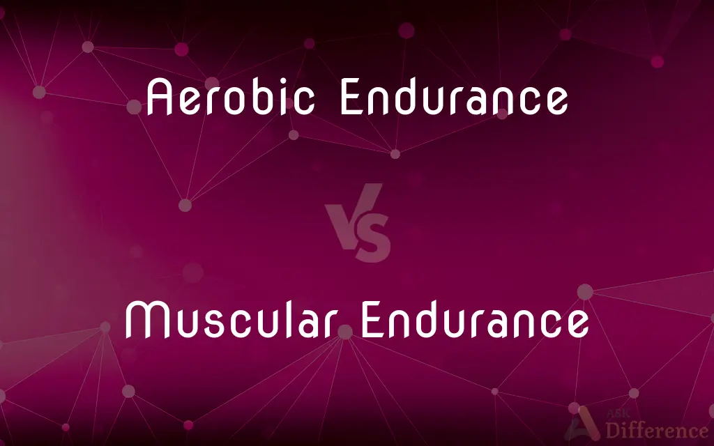 Aerobic Endurance vs. Muscular Endurance — What's the Difference?