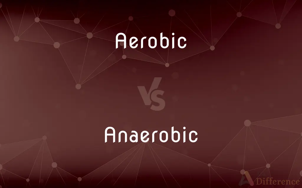 Aerobic vs. Anaerobic — What's the Difference?
