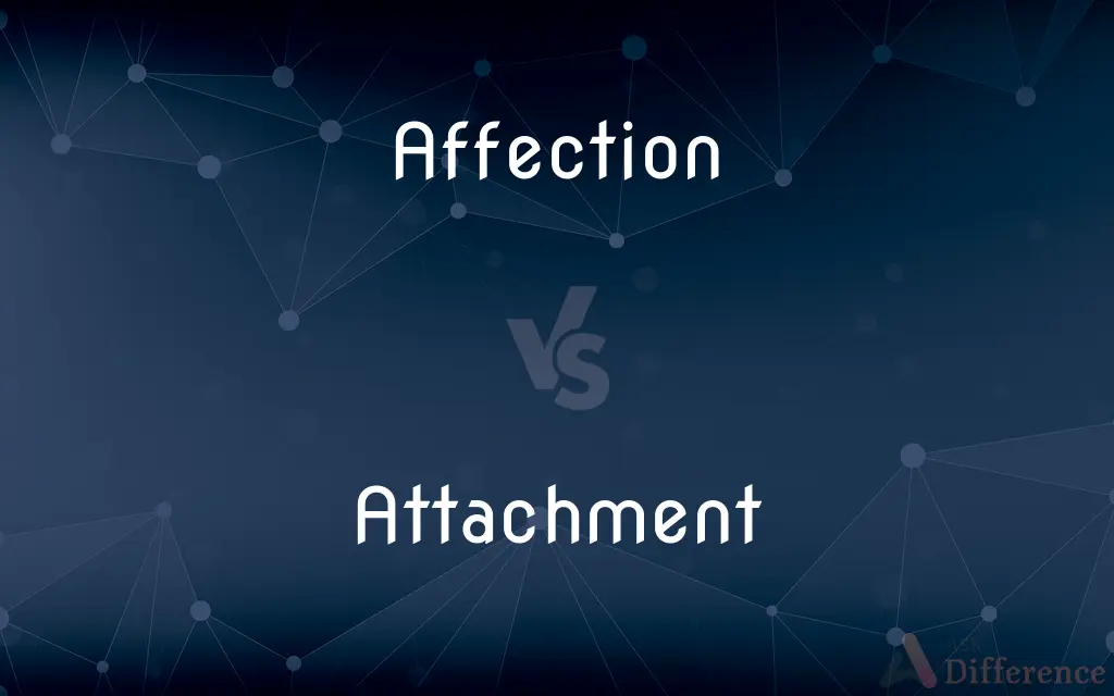 Affection vs. Attachment — What's the Difference?