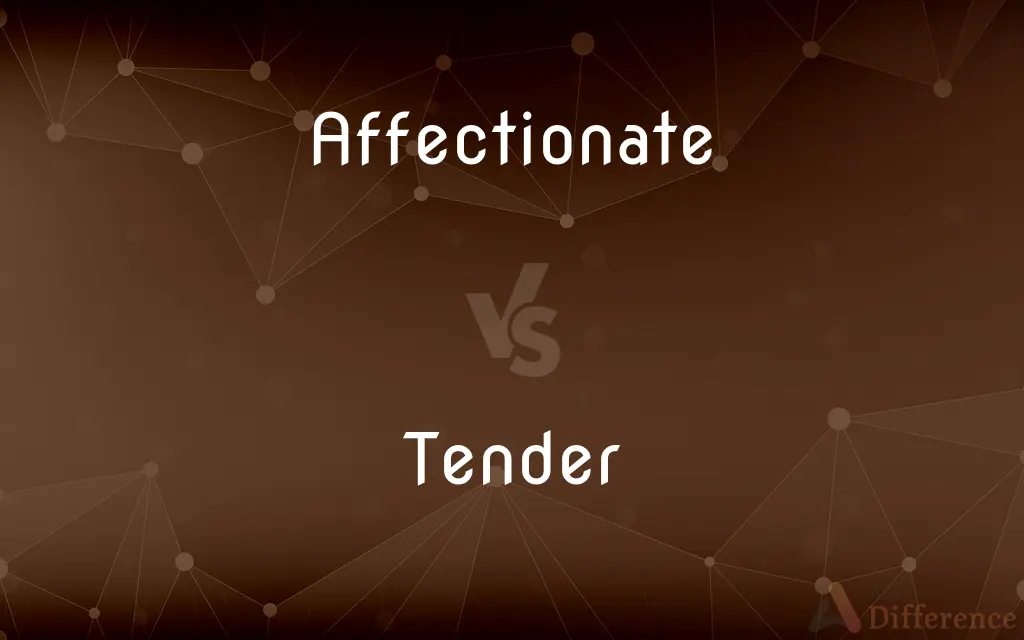 Affectionate vs. Tender — What's the Difference?