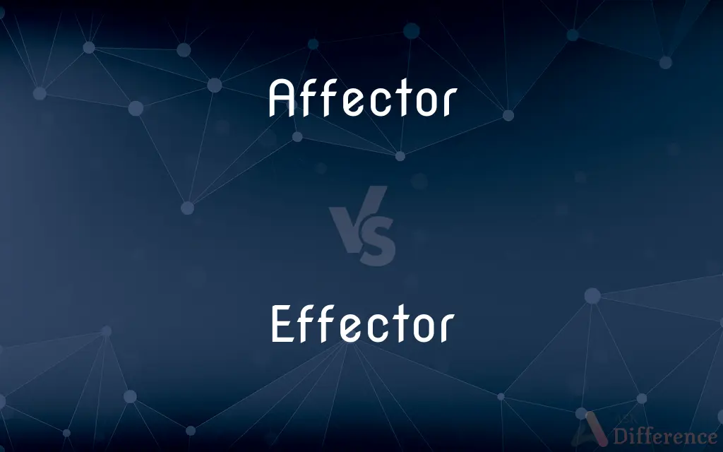 Affector vs. Effector — What's the Difference?