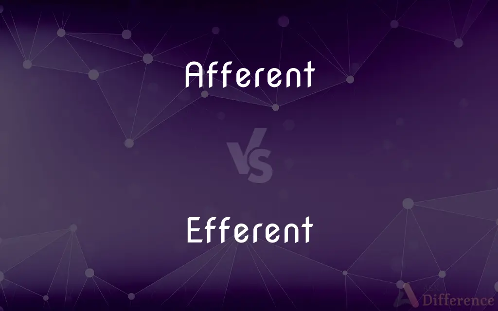 Afferent vs. Efferent — What's the Difference?
