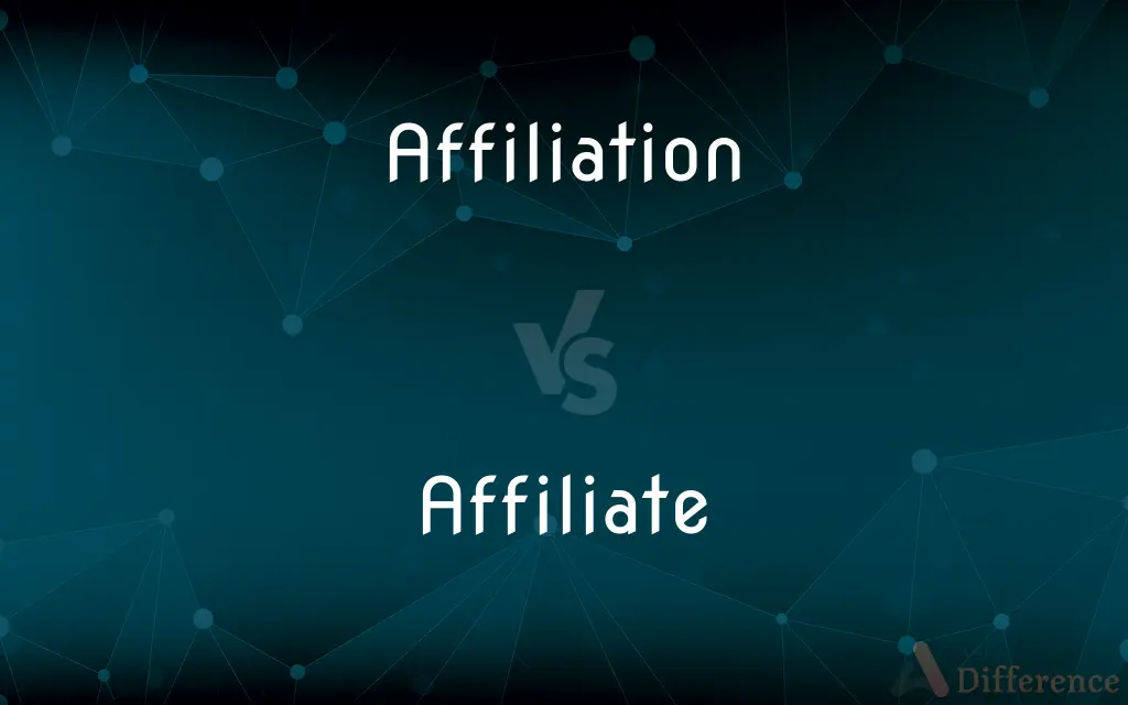 Affiliation vs. Affiliate — What's the Difference?