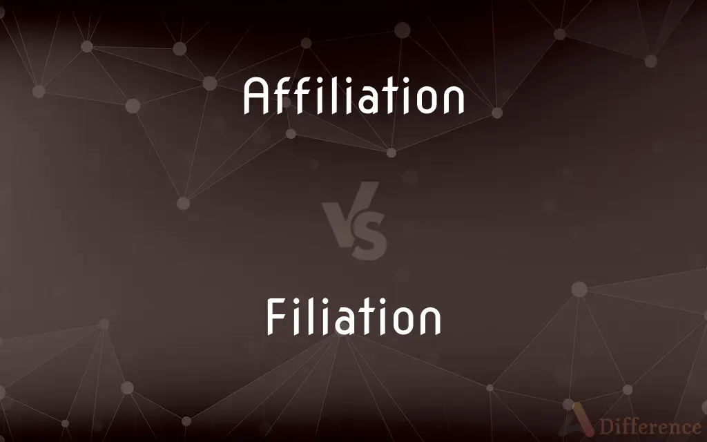 Affiliation vs. Filiation — What's the Difference?