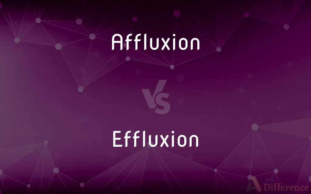 Affluxion vs. Effluxion — What's the Difference?